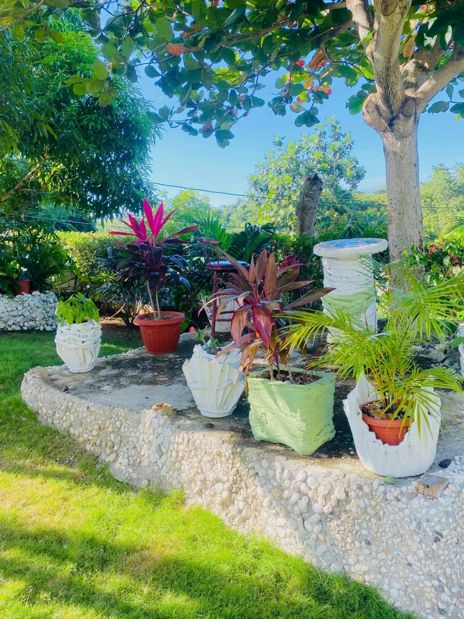 Cindy'S Garden Stay أوشو ريوس المظهر الخارجي الصورة